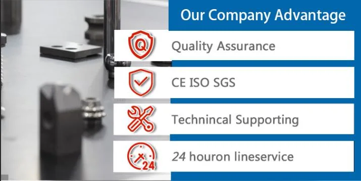 Ds-6ls Semi-Automatic CNC Lathe Machine with Ball Screw/Rollert Screw